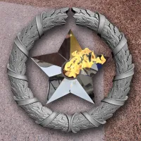 Венок вечный огонь чугун звезда нержавеющая сталь в Пушкино (518577)