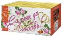 Салют Салют да любовь ЕС553 купить от производителя ФейерЛэнд — Пушкино