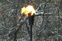 Факел садовый январь 2012 (197221) производство ø 65 мм. ветроустойчивая  в Пушкино