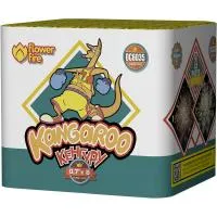 Батарея салютов Кенгуру ОС6035 купить от производителя Огненный Цветок — Пушкино