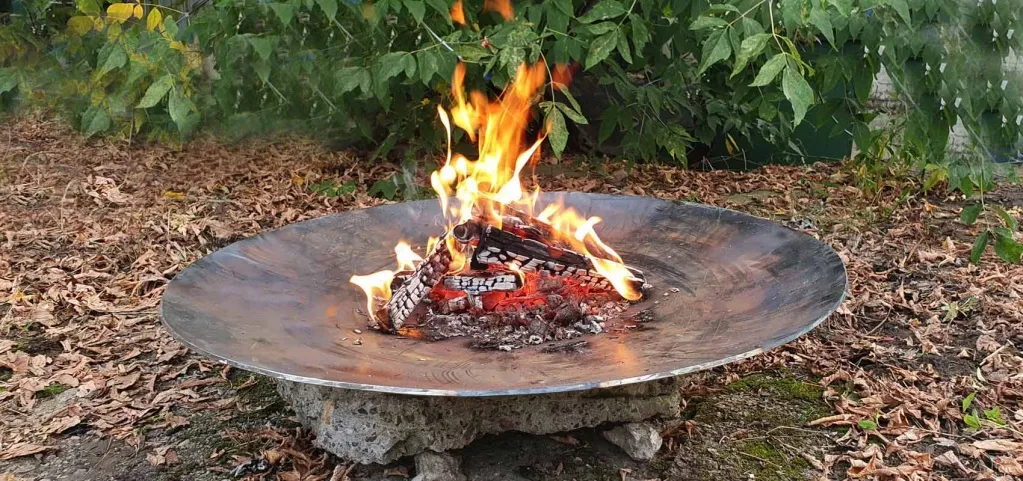 Металлическая чаша для костра АНТОНИНА купить с доставкой в Пушкино Металлическая чаша для костра АНТОНИНА купить с доставкой в Пушкино